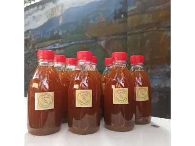 Kegiatan PMR : Produksi Jamu Toga