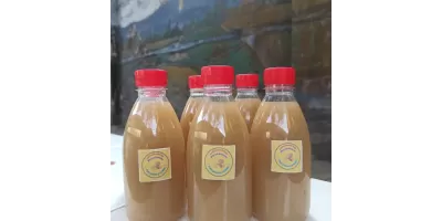 Foto Kegiatan