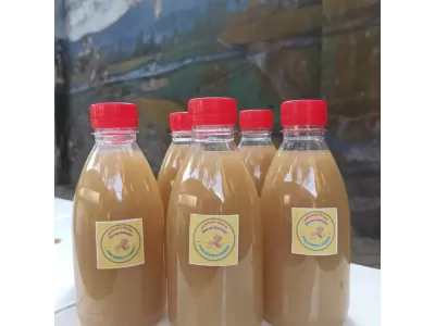 Kegiatan PMR : Produksi Jamu Toga